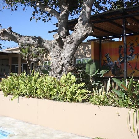 Planet Scuba Bed&Breakfast Ponta do Ouro Exterior foto